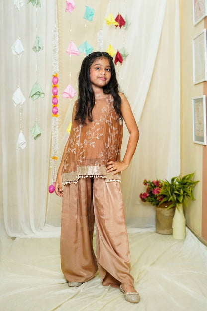 Girl's Festive Brown Coord Set