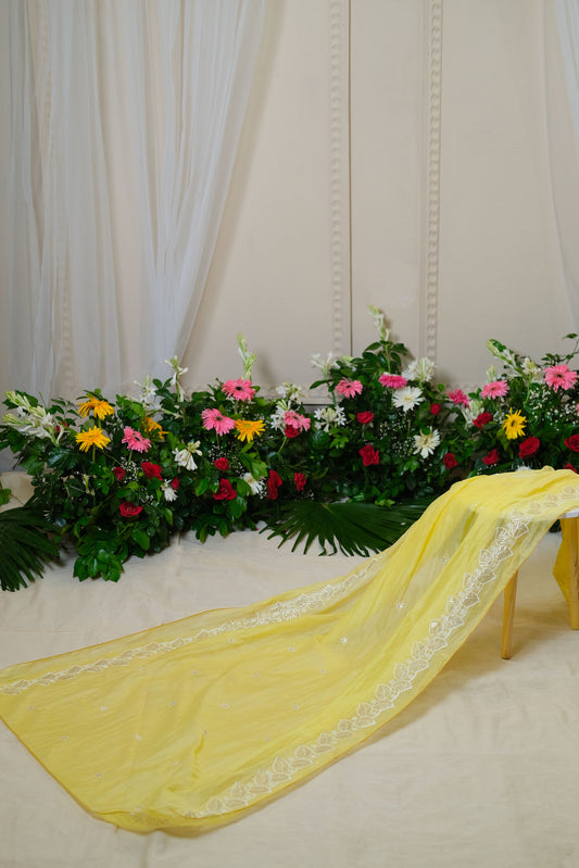 Yellow Chanderi Mul Embroidered Dupatta
